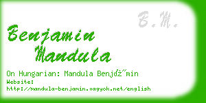 benjamin mandula business card
